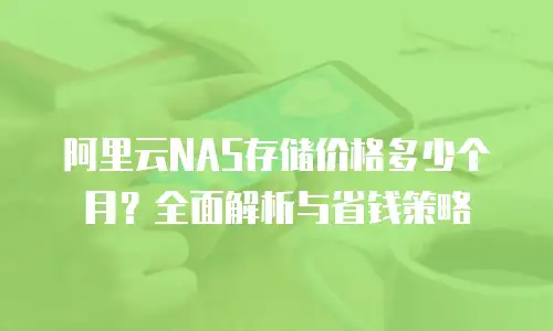 阿里云NAS存储价格多少个月？全面解析与省钱策略