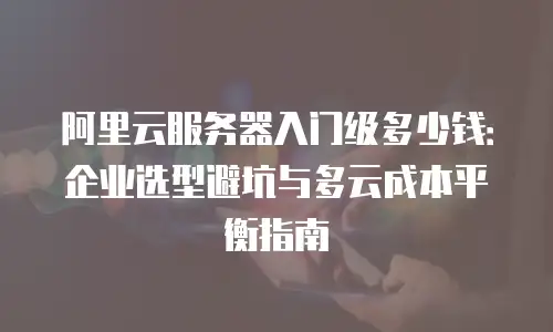阿里云服务器入门级多少钱：企业选型避坑与多云成本平衡指南