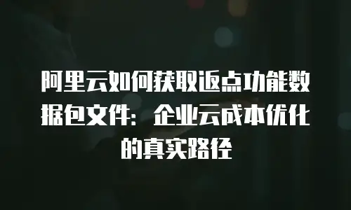 阿里云如何获取返点功能数据包文件：企业云成本优化的真实路径