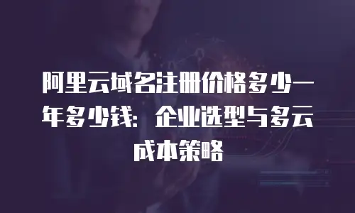 阿里云域名注册价格多少一年多少钱：企业选型与多云成本策略