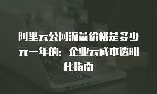 阿里云公网流量价格是多少元一年的：企业云成本透明化指南