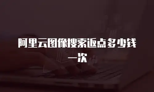 阿里云图像搜索返点多少钱一次