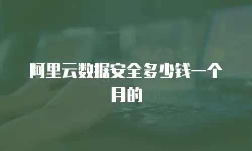 阿里云数据安全多少钱一个月的