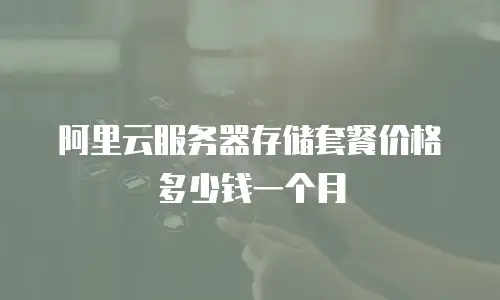 阿里云服务器存储套餐价格多少钱一个月