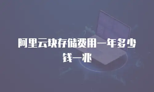 阿里云块存储费用一年多少钱一兆