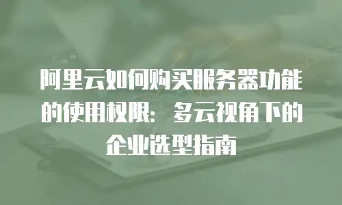 阿里云如何购买服务器功能的使用权限：多云视角下的企业选型指南