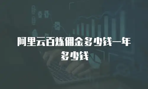 阿里云百炼佣金多少钱一年多少钱