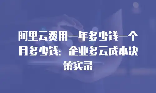 阿里云费用一年多少钱一个月多少钱：企业多云成本决策实录