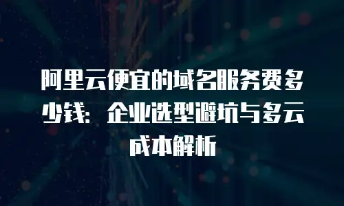 阿里云便宜的域名服务费多少钱：企业选型避坑与多云成本解析