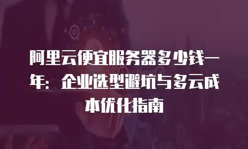 阿里云便宜服务器多少钱一年：企业选型避坑与多云成本优化指南