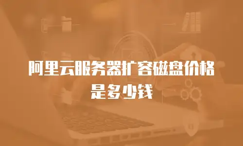 阿里云服务器扩容磁盘价格是多少钱