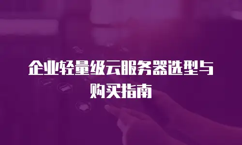 企业轻量级云服务器选型与购买指南