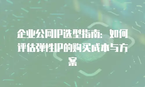 企业公网IP选型指南：如何评估弹性IP的购买成本与方案