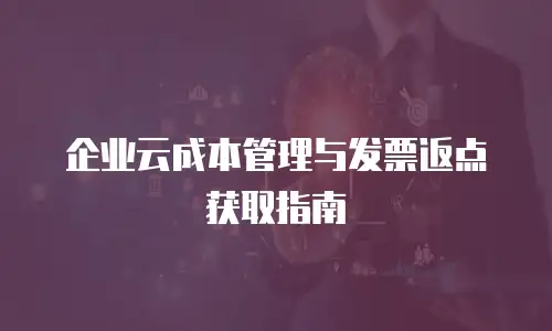 企业云成本管理与发票返点获取指南