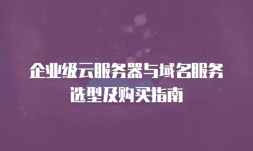企业级云服务器与域名服务选型及购买指南