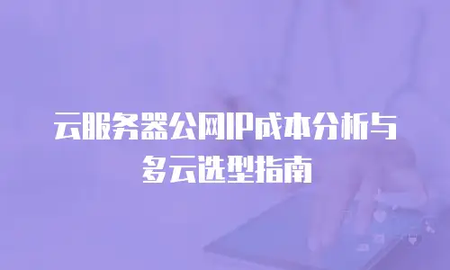 云服务器公网IP成本分析与多云选型指南