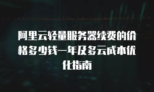 阿里云轻量服务器续费的价格多少钱一年及多云成本优化指南