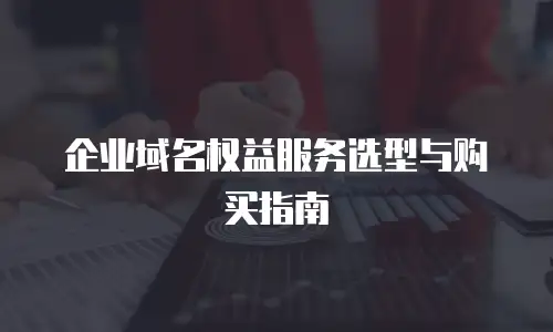 企业域名权益服务选型与购买指南