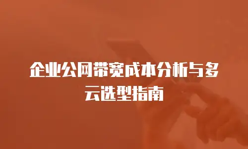 企业公网带宽成本分析与多云选型指南