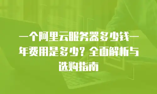 一个阿里云服务器多少钱一年费用是多少？全面解析与选购指南