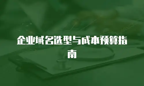 企业域名选型与成本预算指南