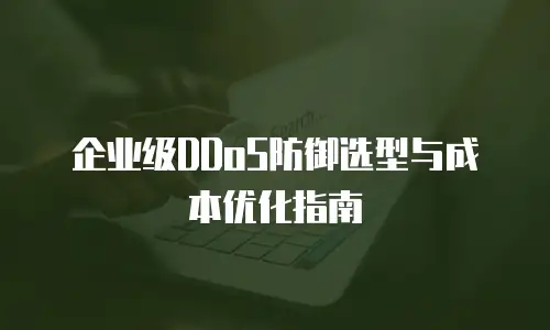 企业级DDoS防御选型与成本优化指南