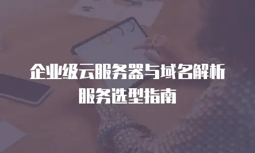企业级云服务器与域名解析服务选型指南
