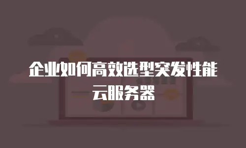 企业如何高效选型突发性能云服务器