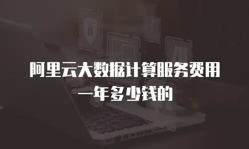 阿里云大数据计算服务费用一年多少钱的