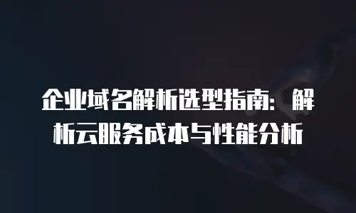 企业域名解析选型指南：解析云服务成本与性能分析