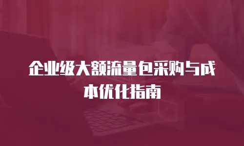 企业级大额流量包采购与成本优化指南