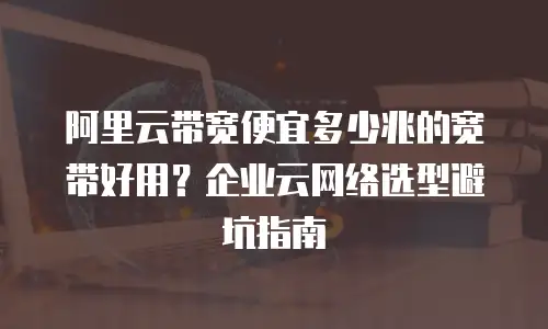 阿里云带宽便宜多少兆的宽带好用？企业云网络选型避坑指南