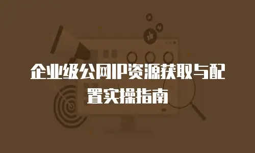 企业级公网IP资源获取与配置实操指南