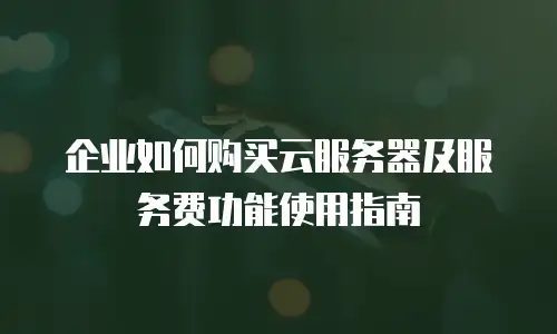 企业如何购买云服务器及服务费功能使用指南