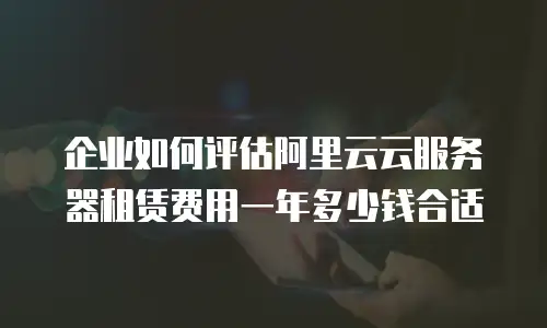 企业如何评估阿里云云服务器租赁费用一年多少钱合适