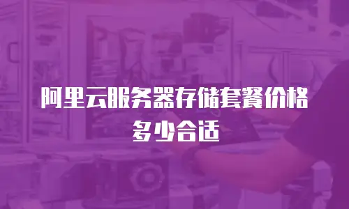 阿里云服务器存储套餐价格多少合适