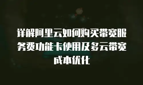 详解阿里云如何购买带宽服务费功能卡使用及多云带宽成本优化