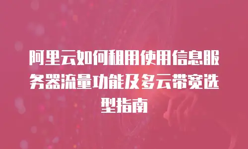 阿里云如何租用使用信息服务器流量功能及多云带宽选型指南