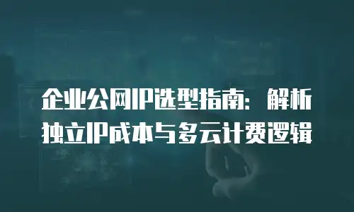 企业公网IP选型指南：解析独立IP成本与多云计费逻辑