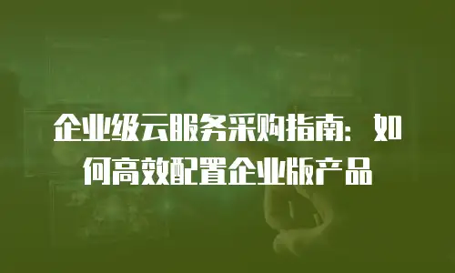 企业级云服务采购指南：如何高效配置企业版产品