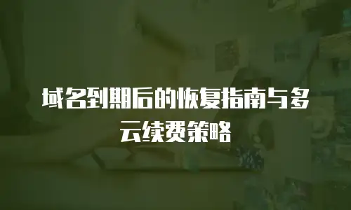 域名到期后的恢复指南与多云续费策略