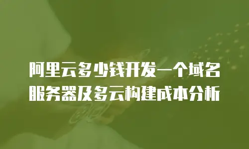 阿里云多少钱开发一个域名服务器及多云构建成本分析