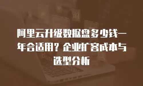 阿里云升级数据盘多少钱一年合适用？企业扩容成本与选型分析