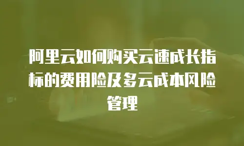阿里云如何购买云速成长指标的费用险及多云成本风险管理