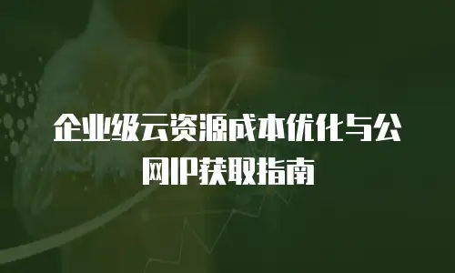 企业级云资源成本优化与公网IP获取指南