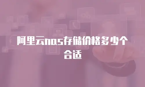阿里云nas存储价格多少个合适