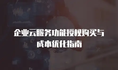 企业云服务功能授权购买与成本优化指南