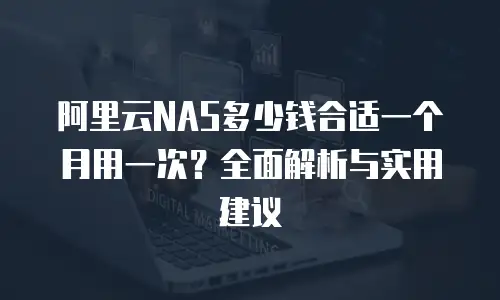 阿里云NAS多少钱合适一个月用一次？全面解析与实用建议