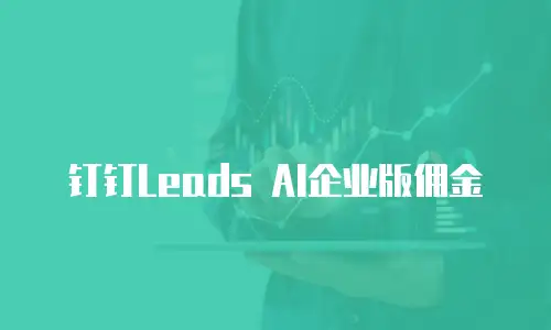 钉钉Leads AI企业版佣金