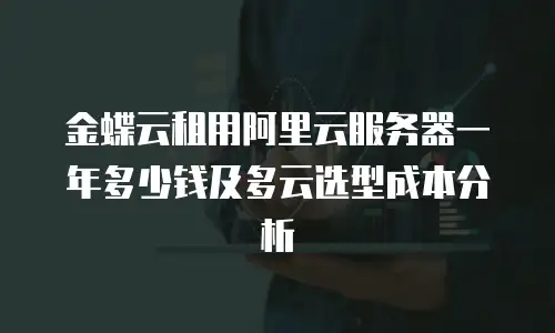 金蝶云租用阿里云服务器一年多少钱及多云选型成本分析